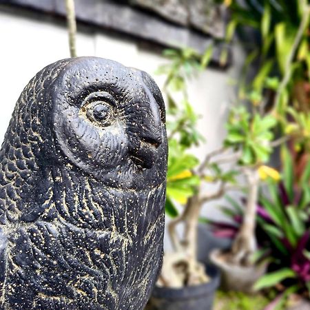 サヌール Panda Lumbung Bed & Breakfast エクステリア 写真